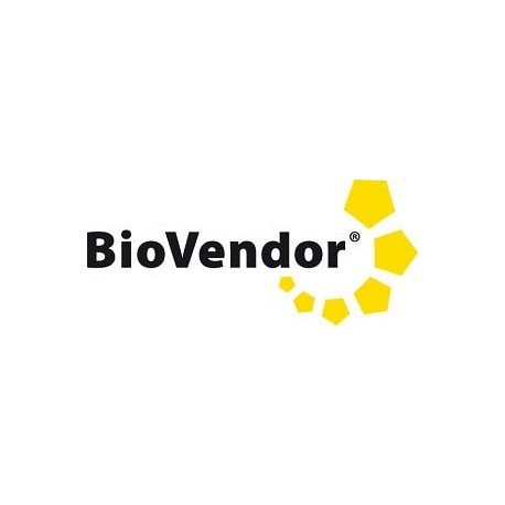 Corticosteroid-Binding Globulin