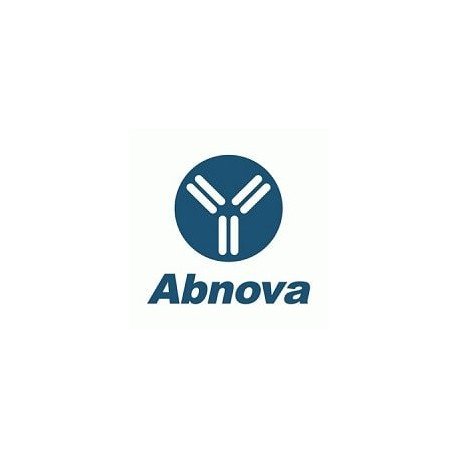 ANXA7 polyclonal antibody