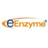 Influenza H7N7 Hemagglutinin (A/Chicken/Netherlands/1/03) cDNA Clone, pUC-H7(A/Chicken/Netherlands/1/03/H7N7)