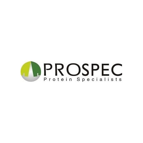 Recombinant Human Complement Factor Properdin Protein