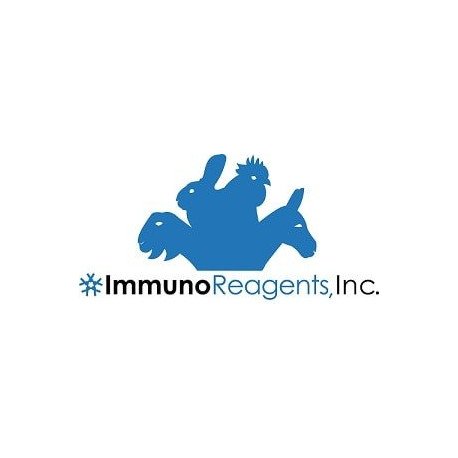 Hamster Ig Fraction Purified Proteins & Immunoglobulins